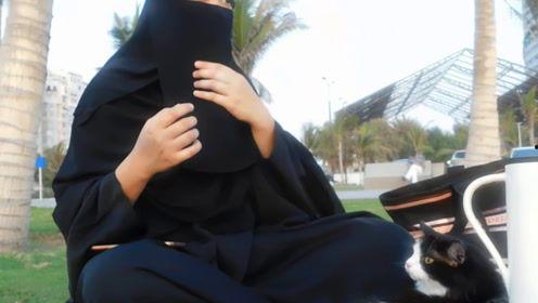 娱乐吃瓜君17集,揭秘娱乐圈背后的惊人真相  第2张