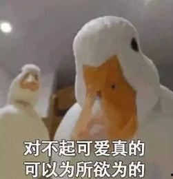 爆料鸭子吃药会死吗视频