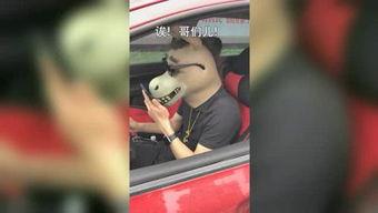 驴哥爆料完整视频,事件全貌深度解析 第3张 驴哥爆料完整视频,事件全貌深度解析 第3张